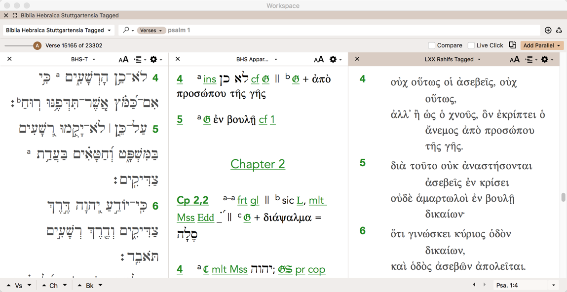 BHS-T_LXX1.webp